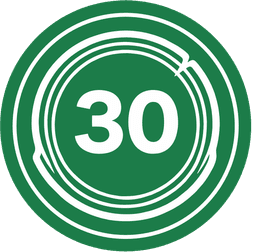 30 лет